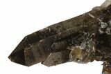Dark Smoky Quartz Crystal Cluster - Brazil #137841-1